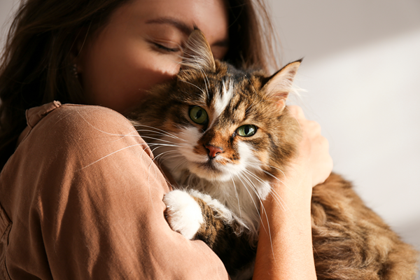 image for A New Beginning: Helping Your Shelter Cat Acclimate and Reduce Stress